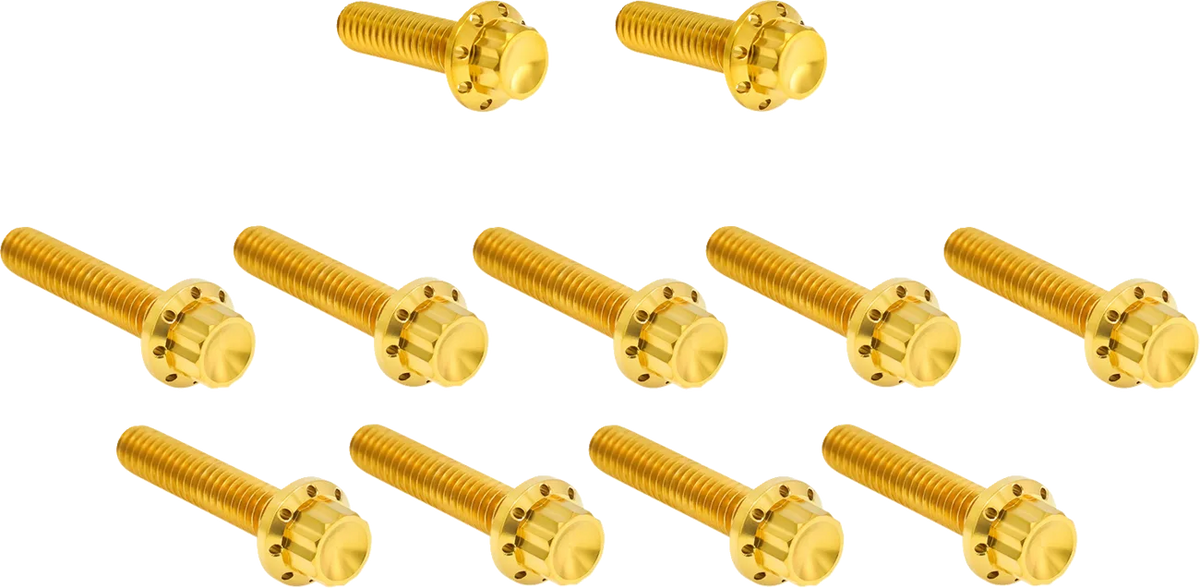 Cam Cover/Point Cover Titanium 12-Point Bolt Kit
