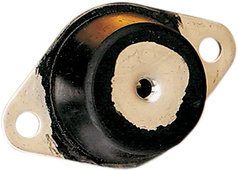 Watercraft Engine Mount