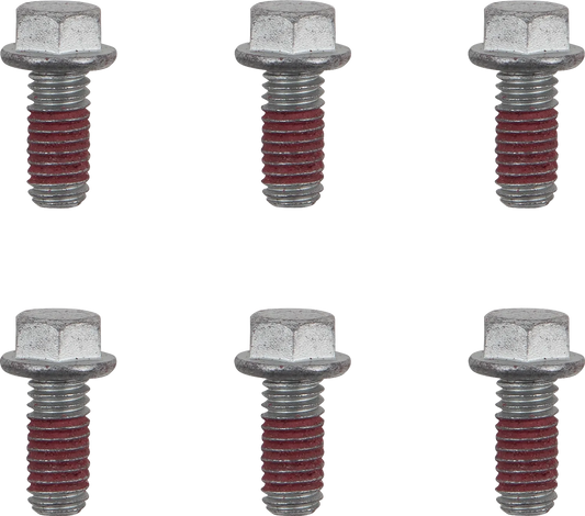 Brake Rotor Bolts