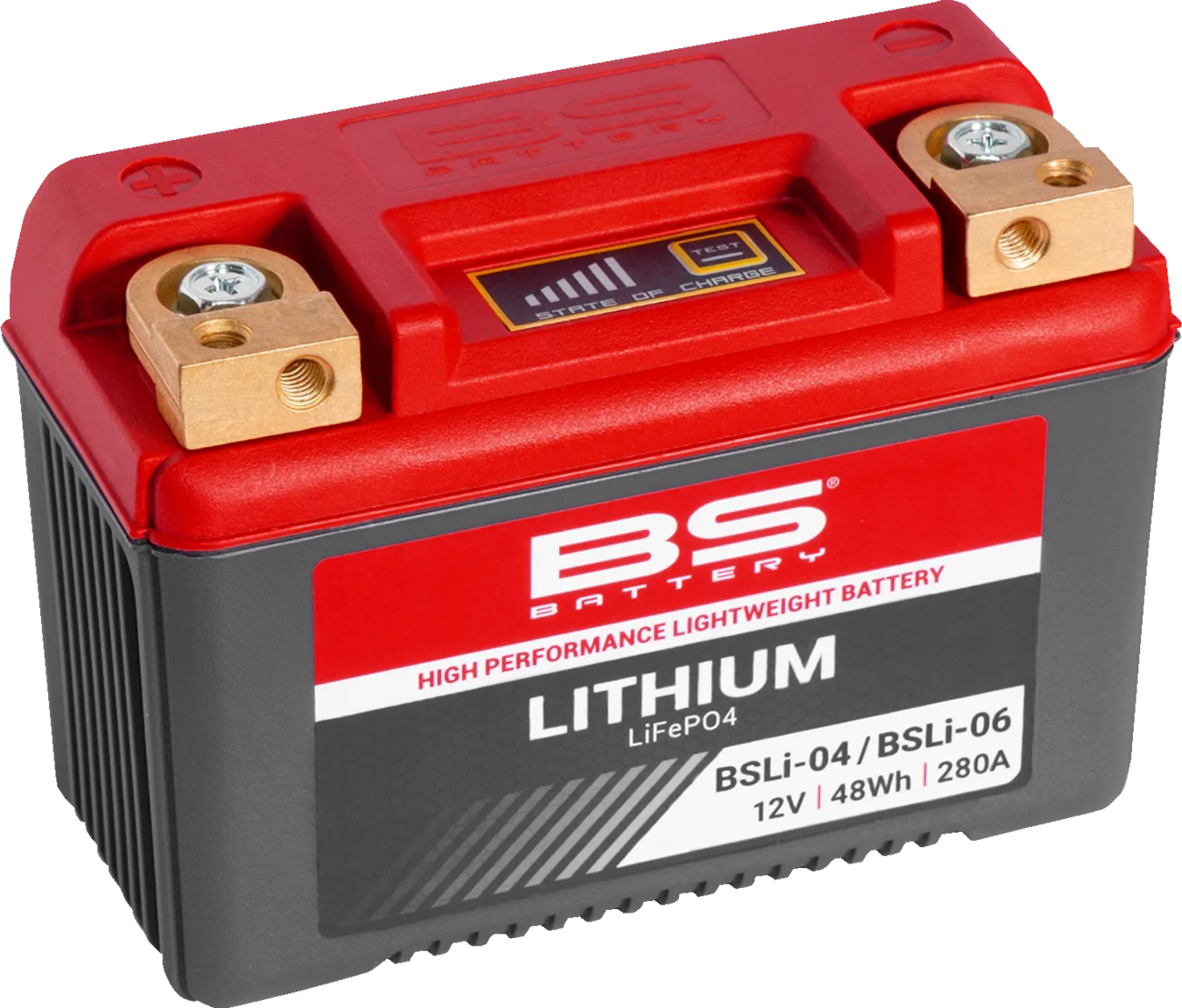 Lithium LiFePO4 Battery