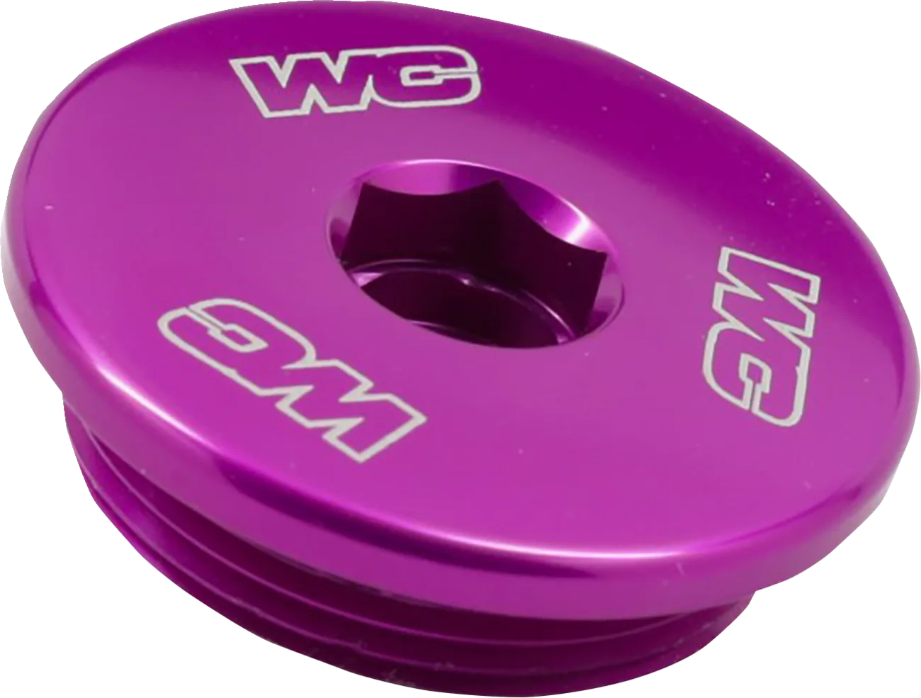 Engine Plug