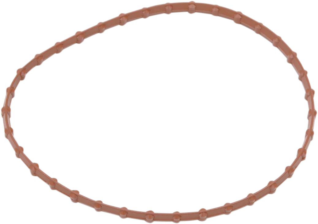 Fuel Pump Door Seal