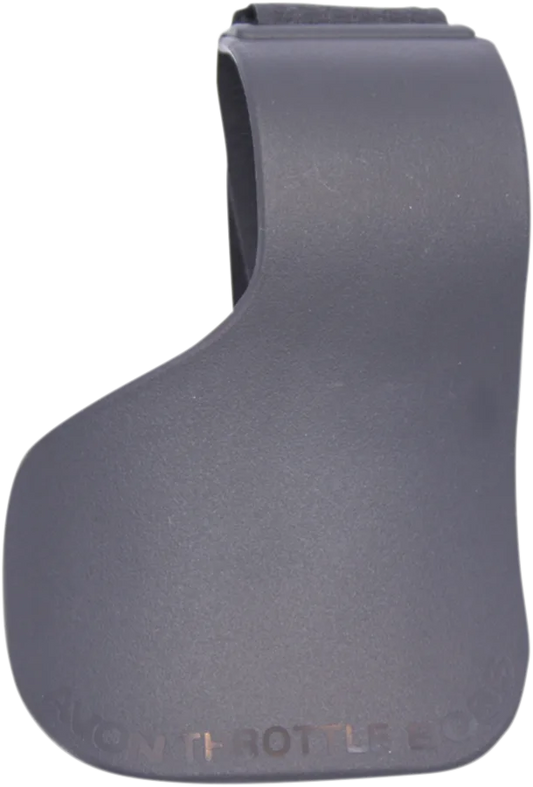 Throttle Assist