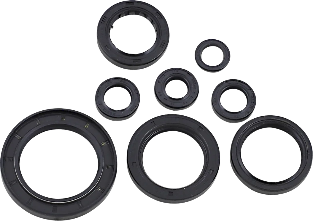 Oil Seal Kit