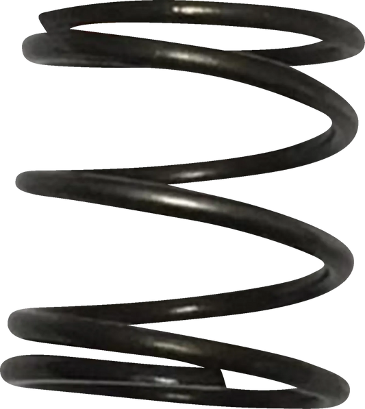 Pushrod Cover Spring