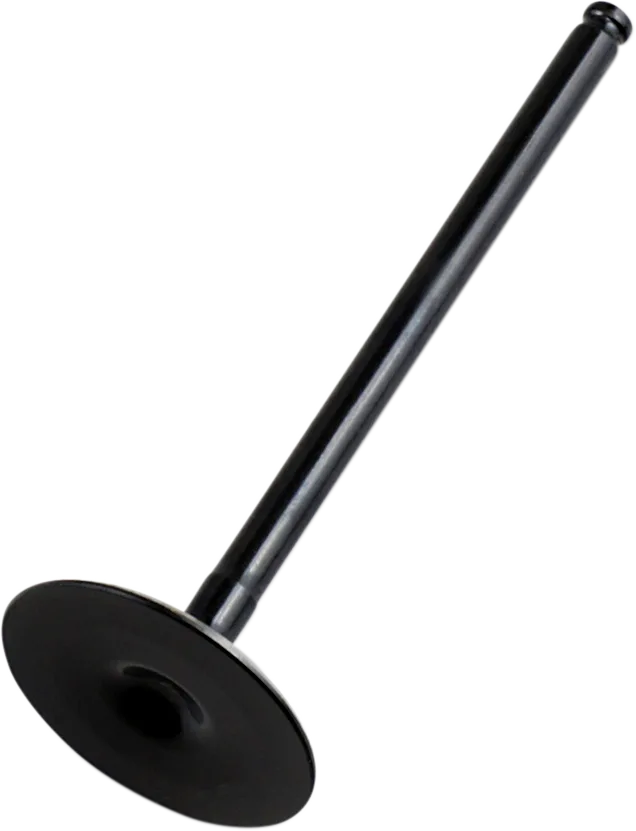 Replacement Valve