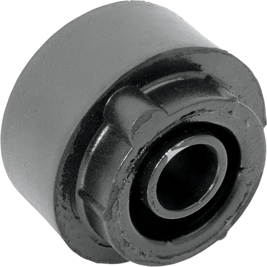 Isolator Mount