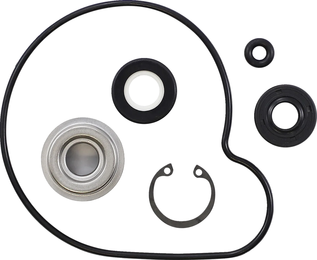 Water Pump Repair Kit