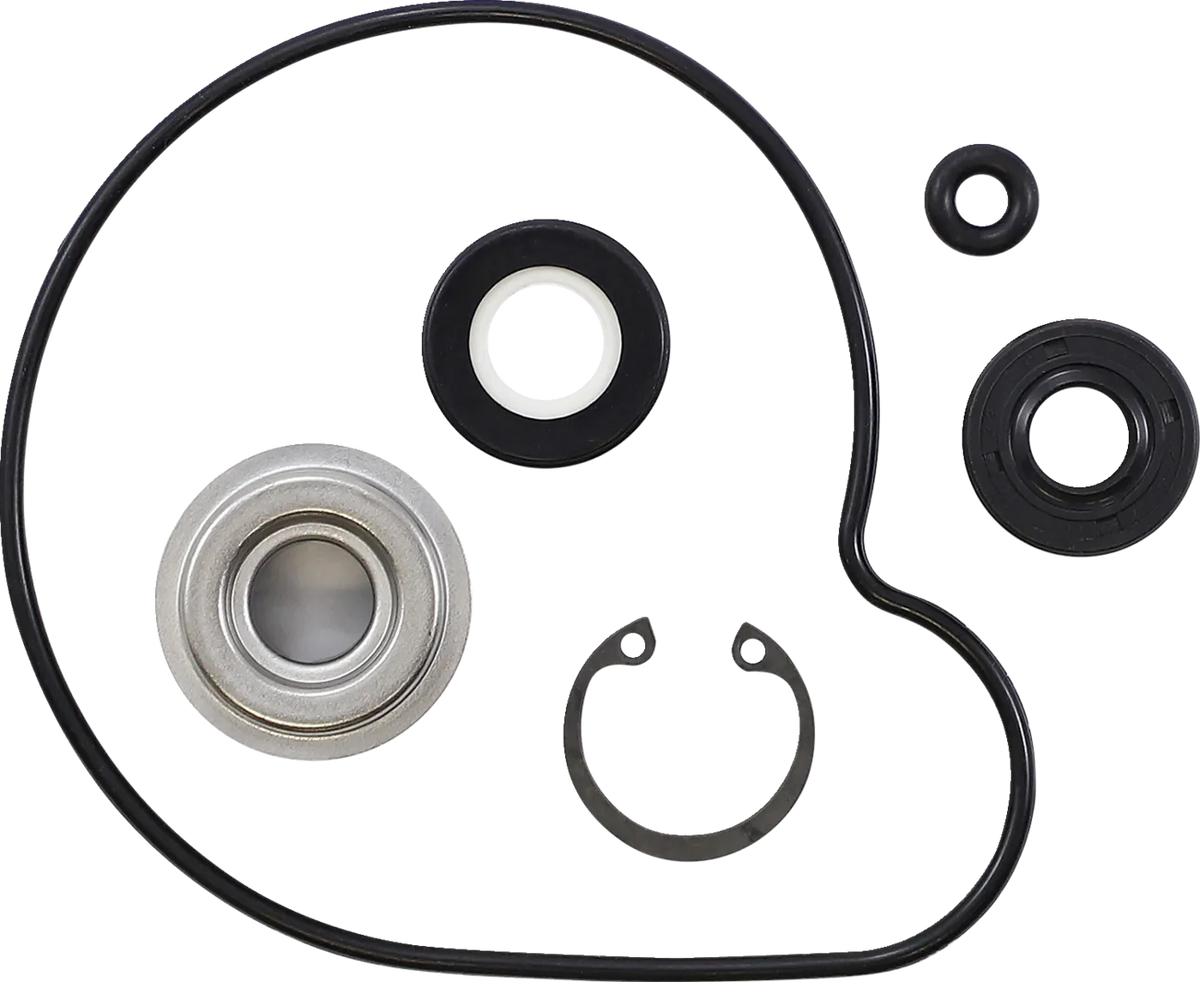 Water Pump Repair Kit