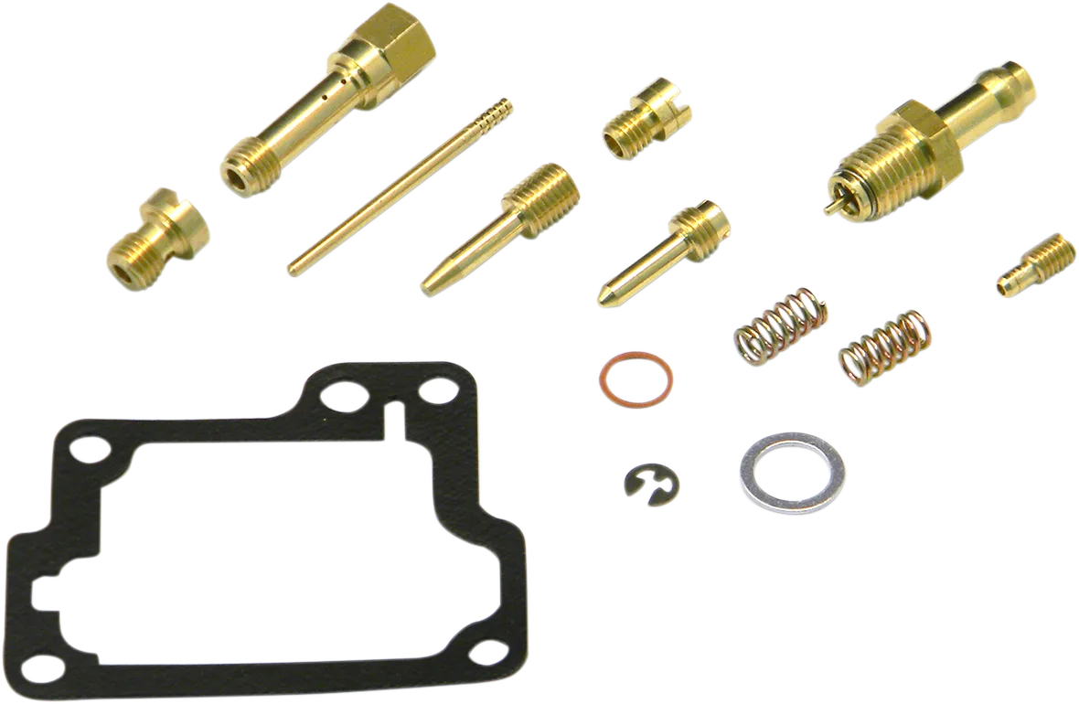 Carburetor Repair Kit