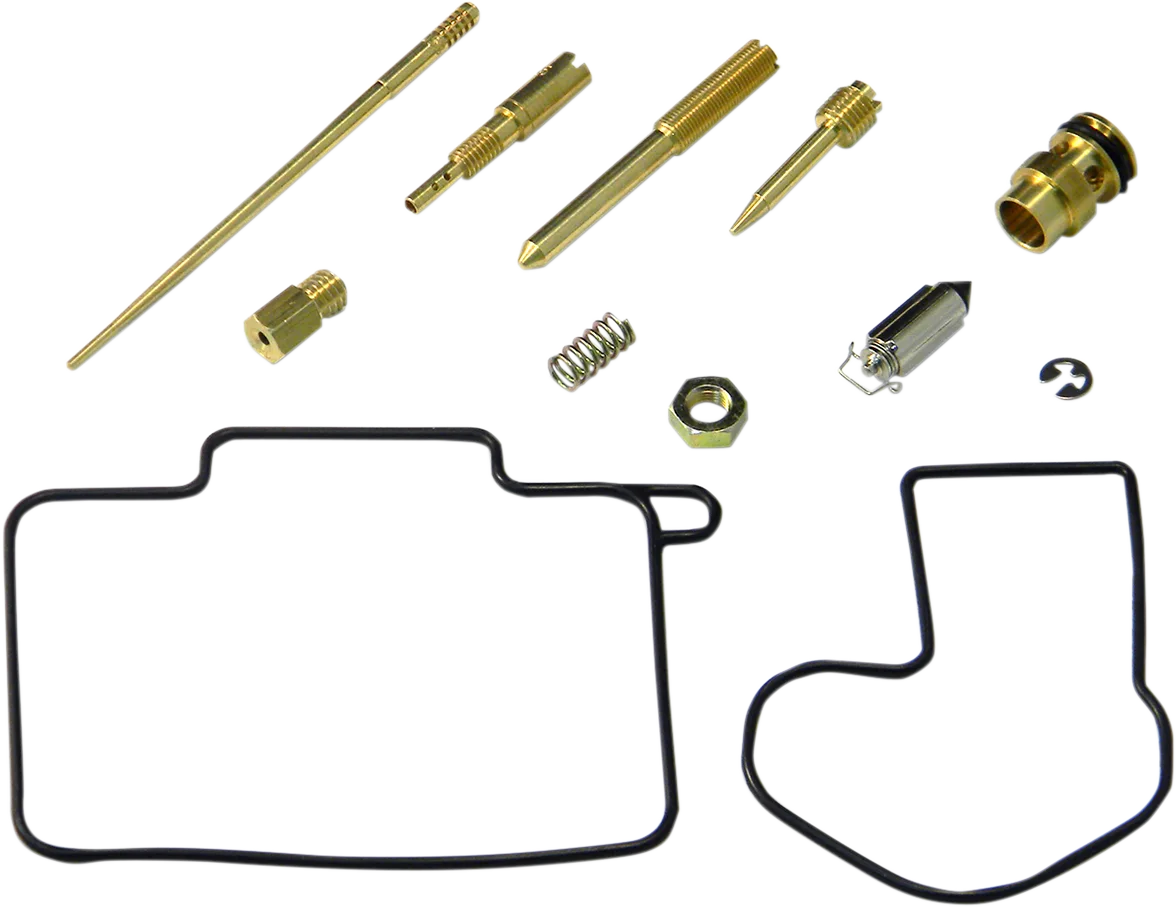 Carburetor Repair Kit