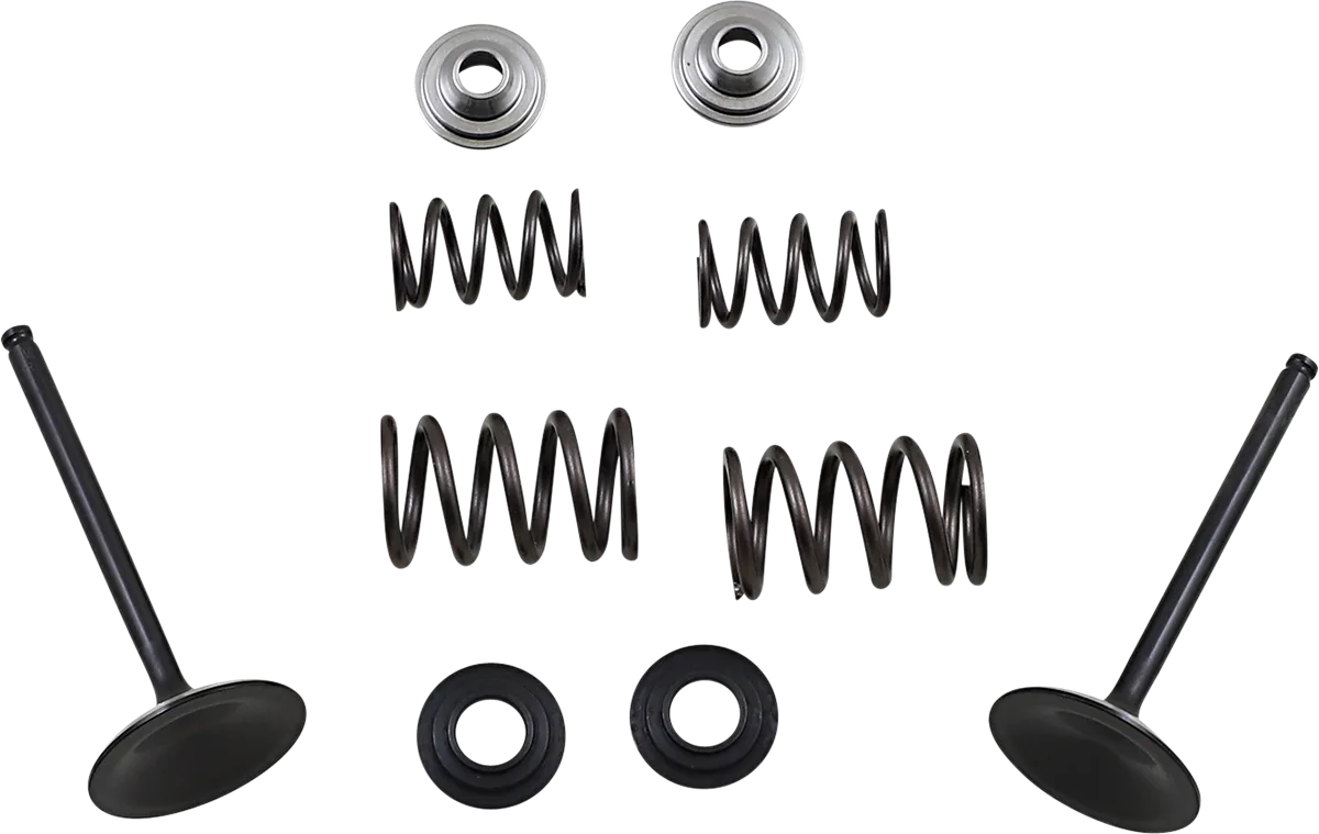Intake Valve and Spring Kit