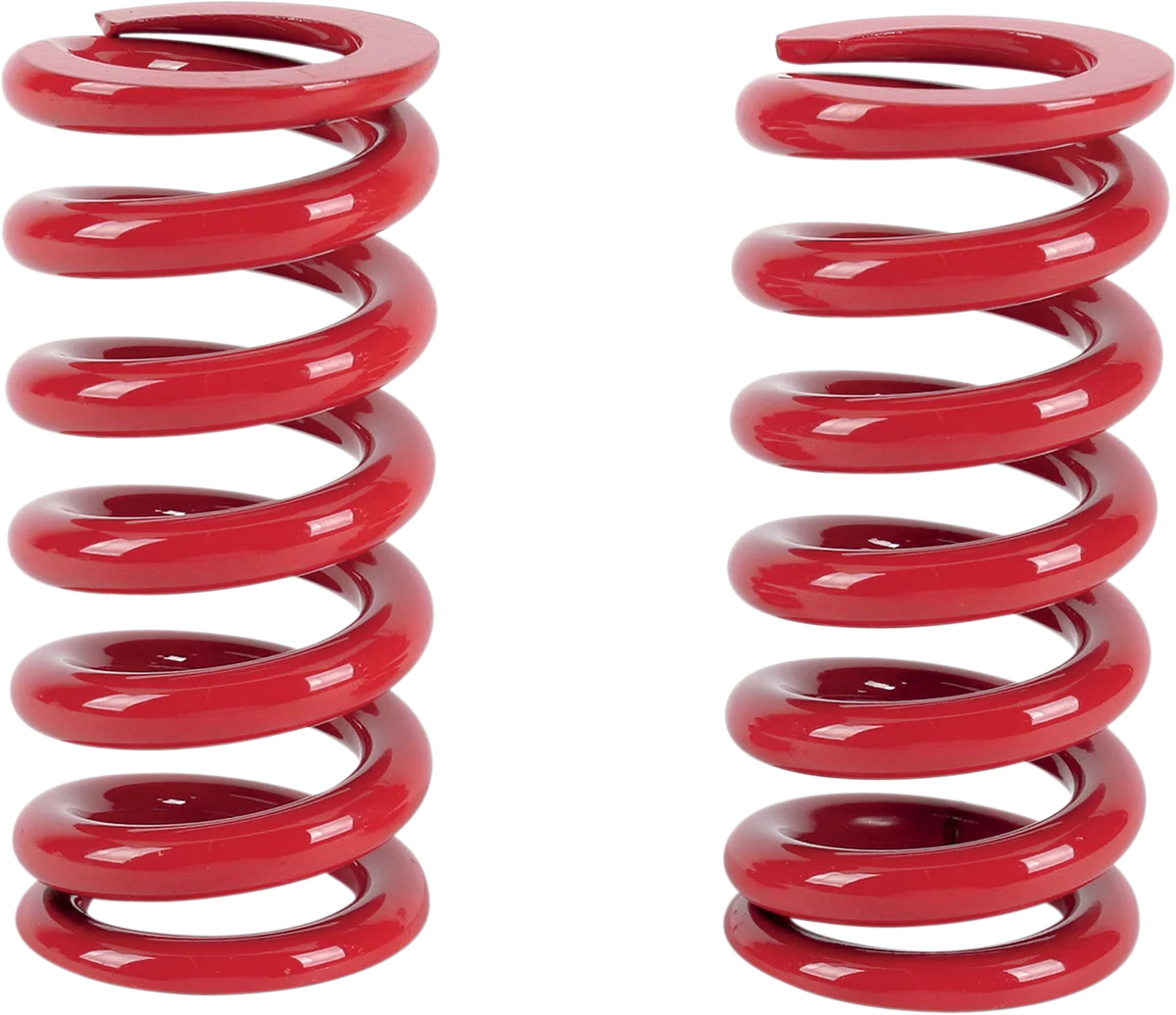 Big Shock Springs