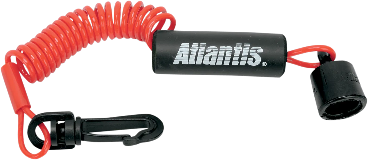 Lanyard
