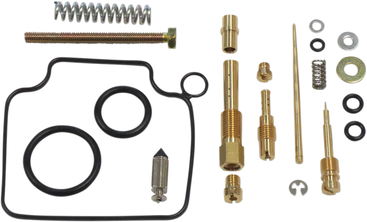Carburetor Repair Kit