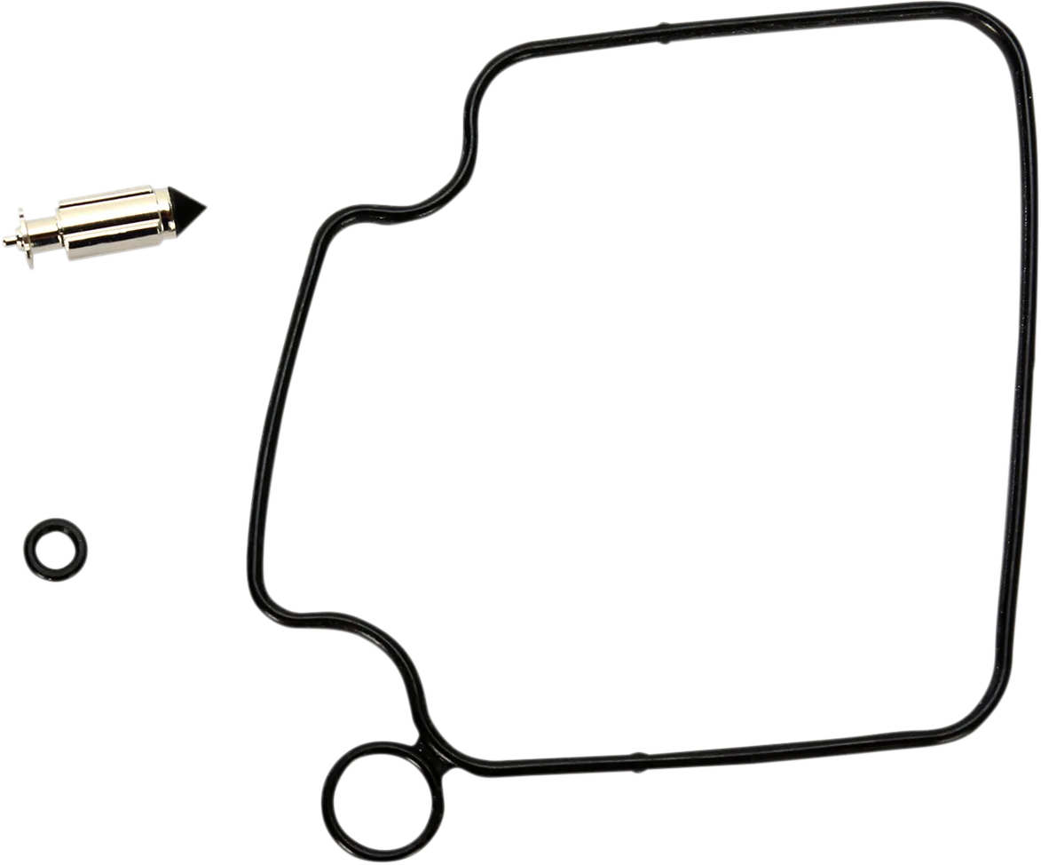 Carburetor Repair Kit