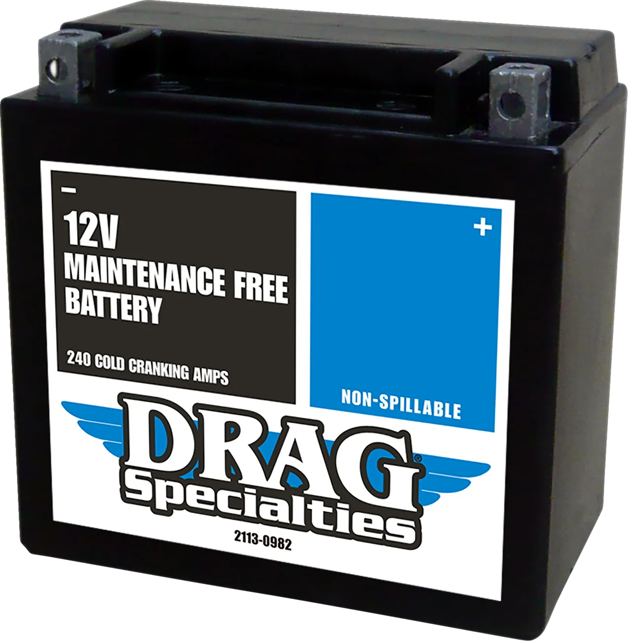 AGM Maintenance-Free Battery