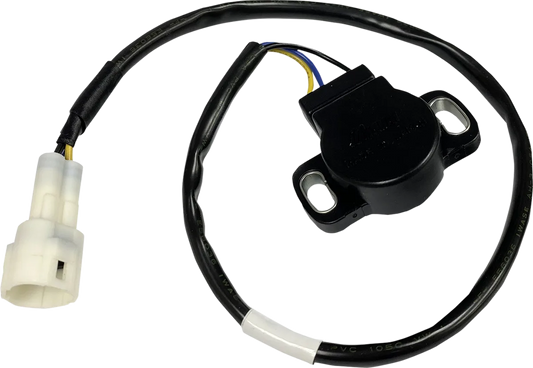 Throttle Position Sensor