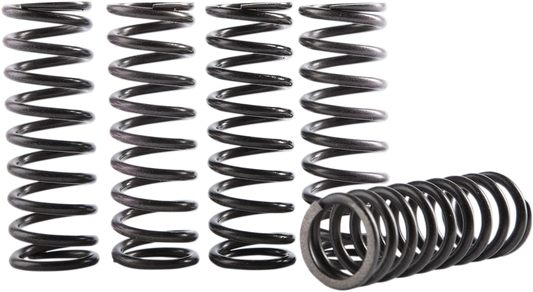 Clutch Spring Kit