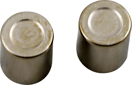 Brake Caliper Piston Kit