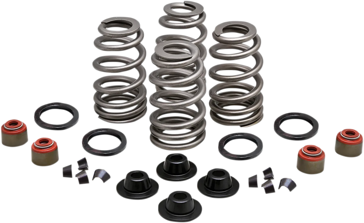 Beehive Valve™ Spring Kit