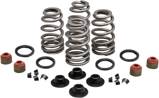 Beehive Valve™ Spring Kit