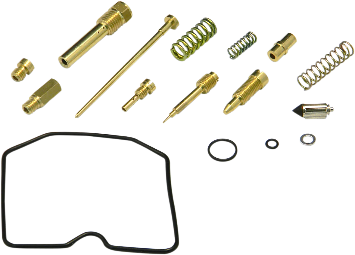 Carburetor Repair Kit