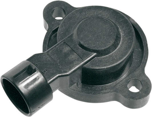 Throttle Position Sensor
