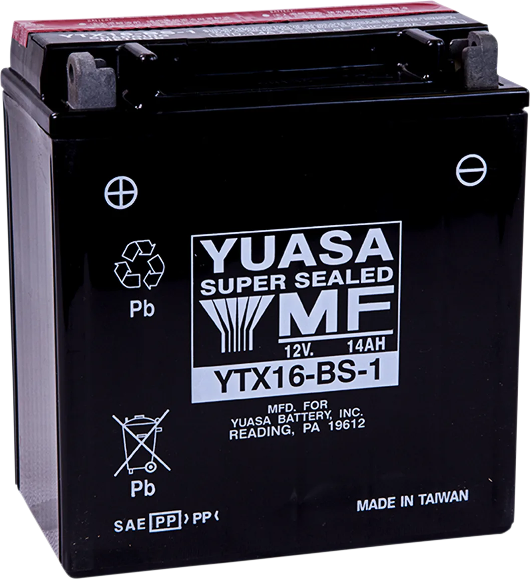 AGM Maintenance-Free Battery