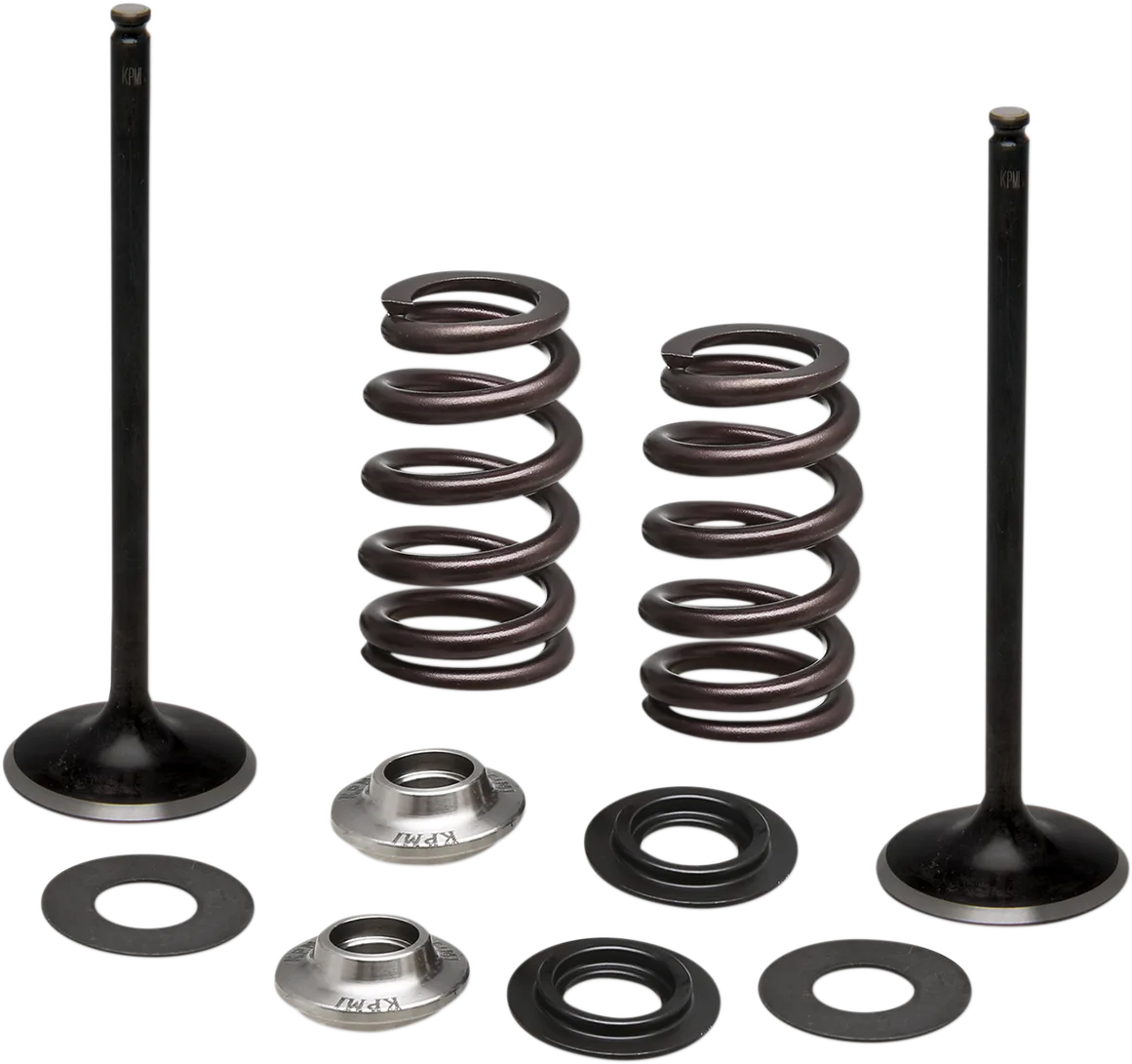 Intake Stainless Conversion Valve and Spring Kit