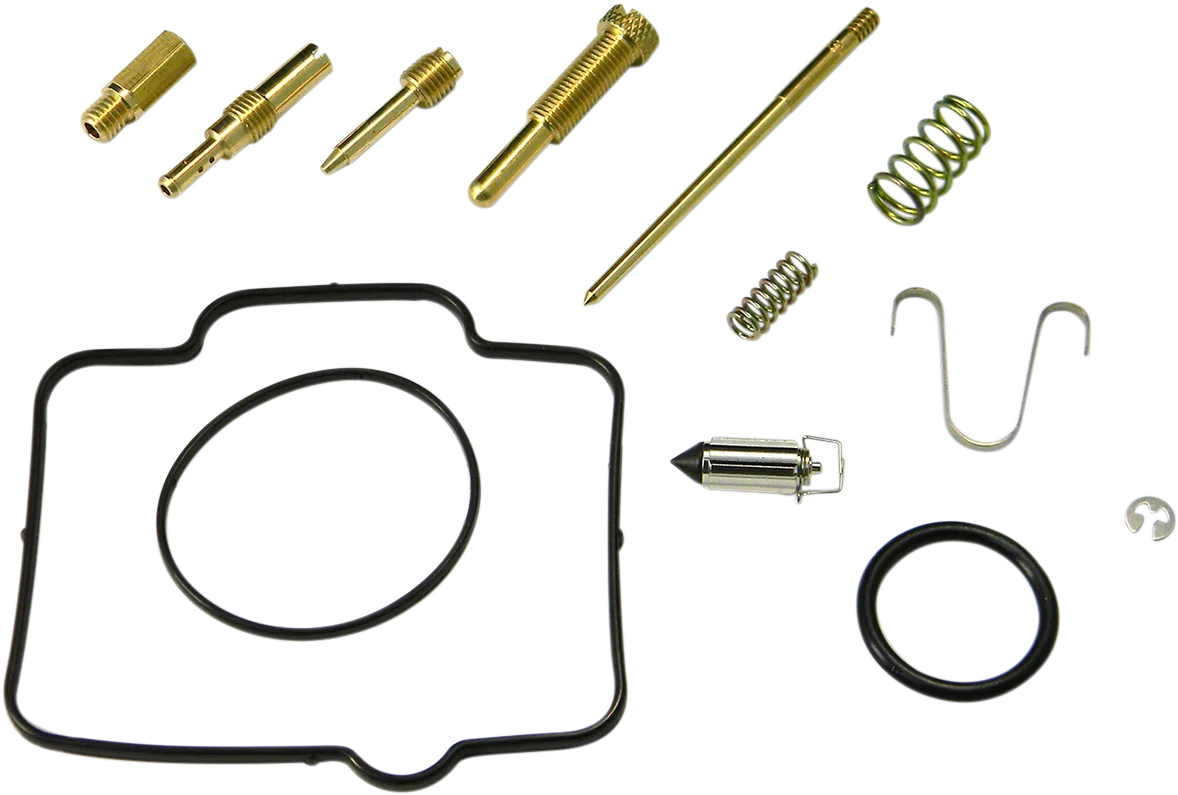 Carburetor Repair Kit