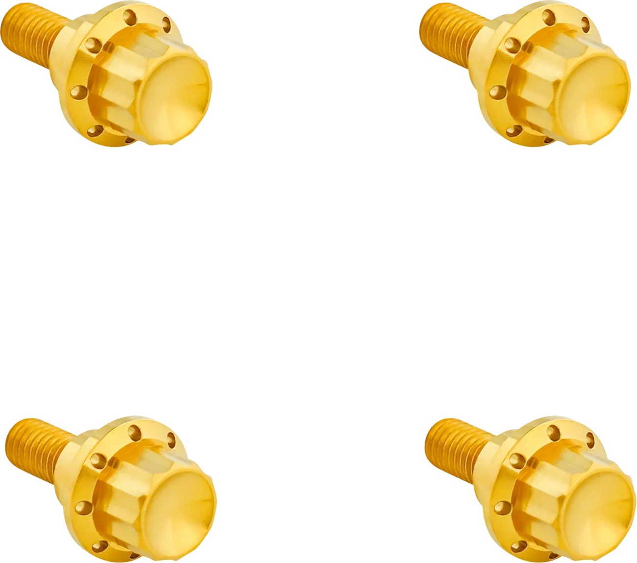 Windshield Titanium 12-Point Bolt Kit