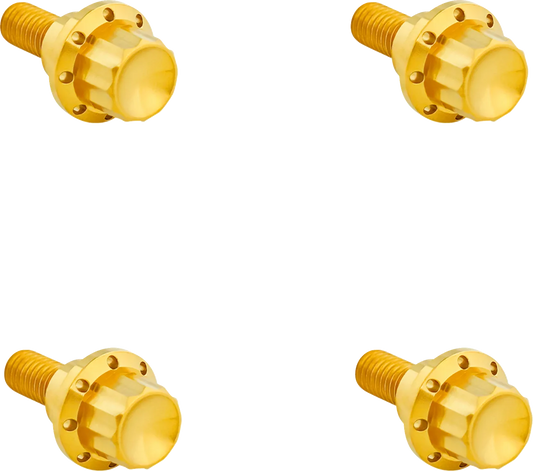 Windshield Titanium 12-Point Bolt Kit