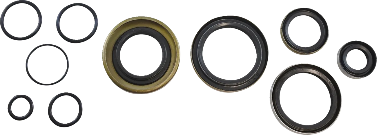 Oil Seal Kit
