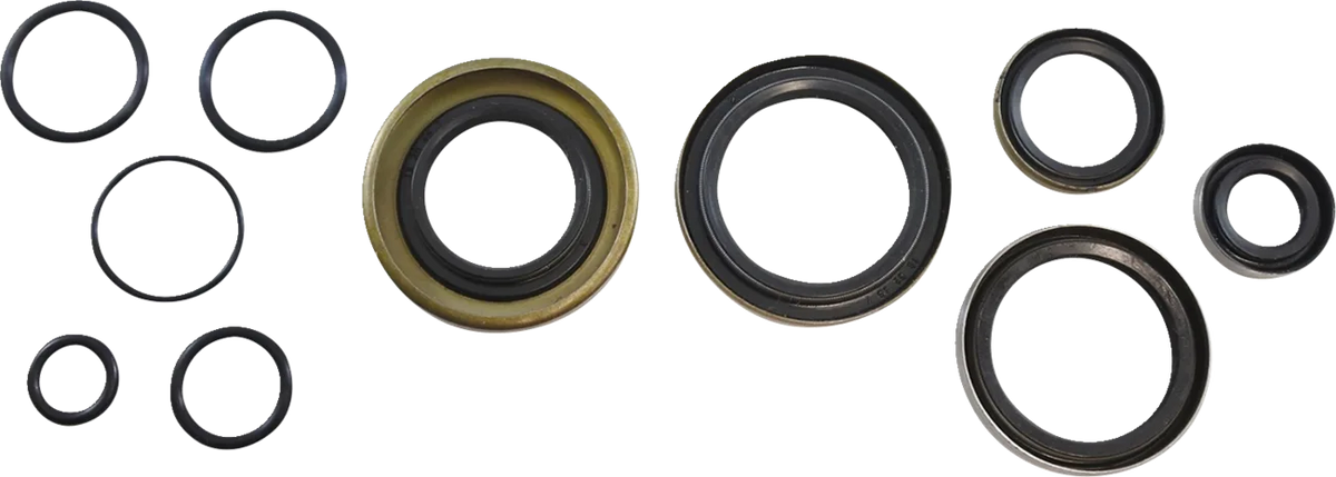 Oil Seal Kit