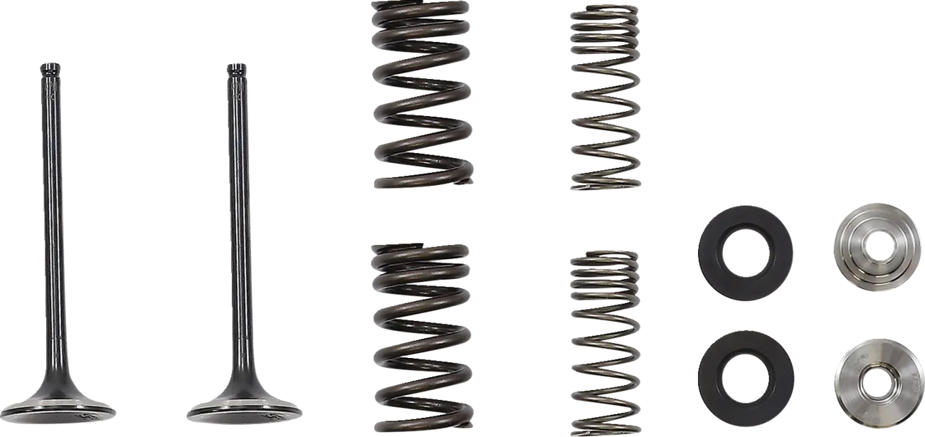 Exhaust Valve and Spring Kit