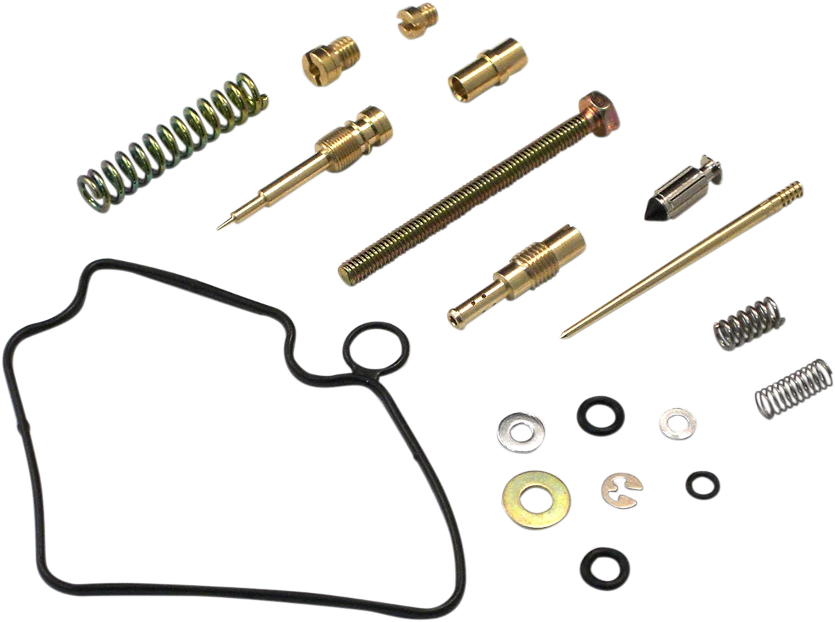 Carburetor Repair Kit