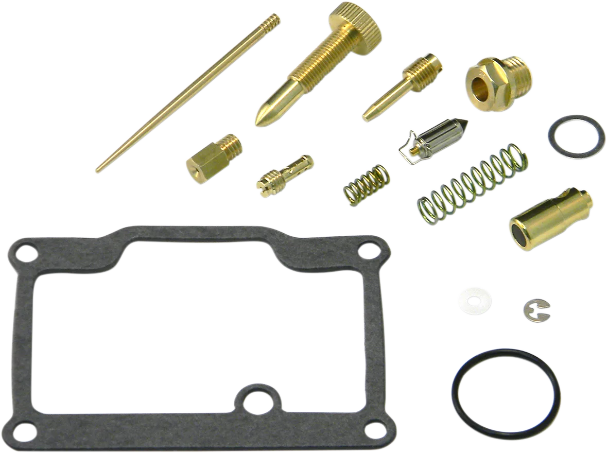 Carburetor Repair Kit