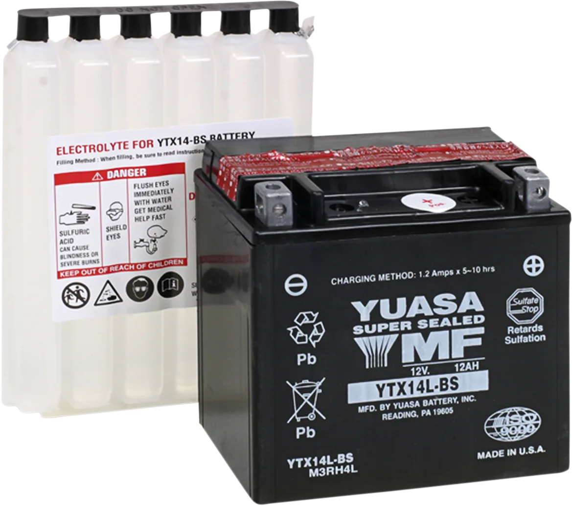 AGM Maintenance-Free Battery