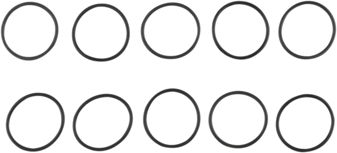 Primary O-Ring