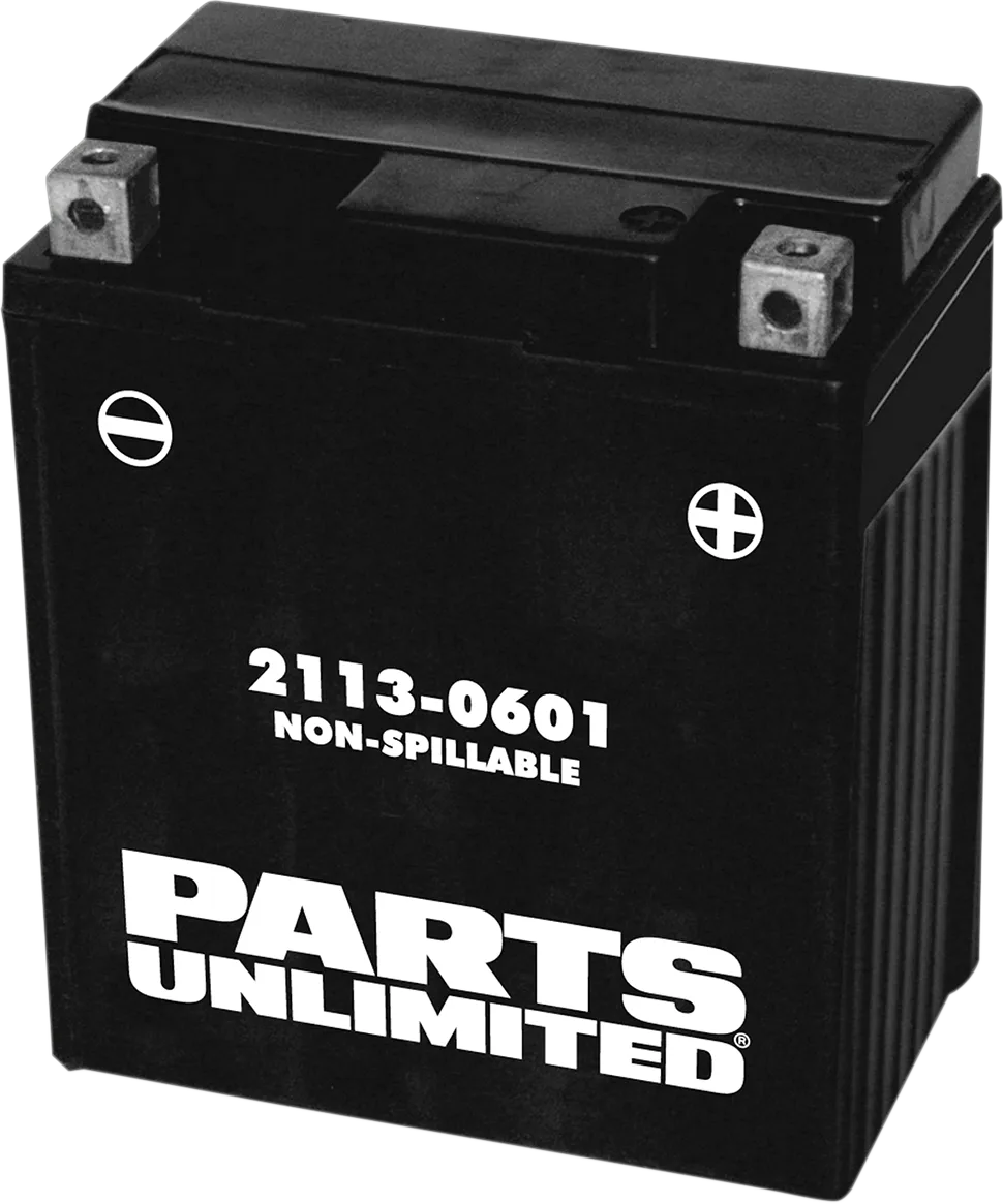 Factory-Activated AGM Maintenance-Free Battery