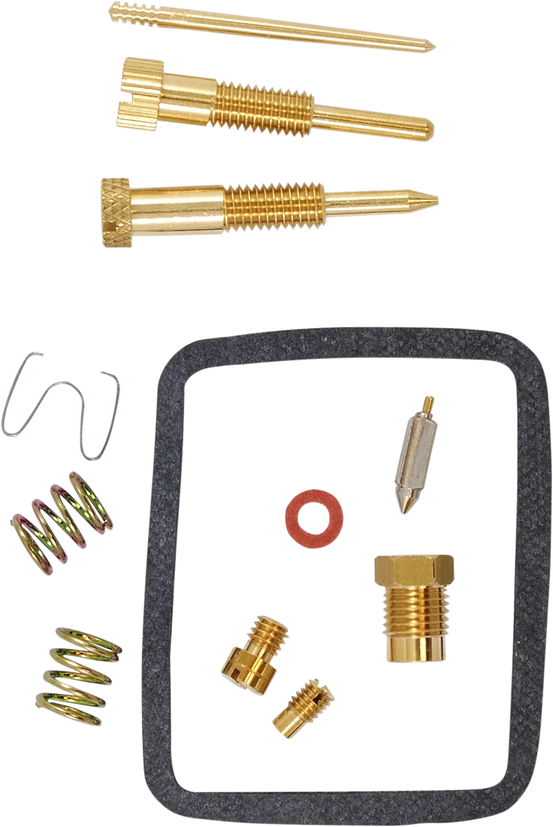 Carburetor Repair Kit