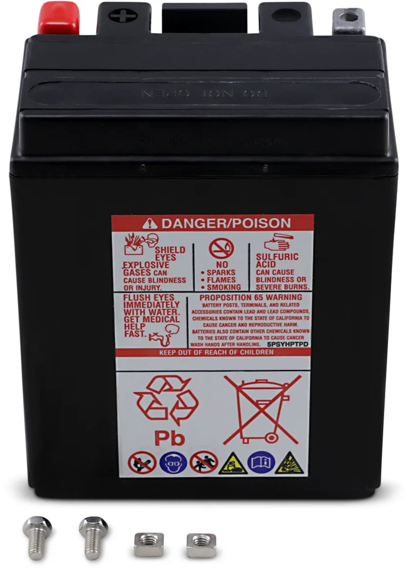 AGM Maintenance-Free Battery