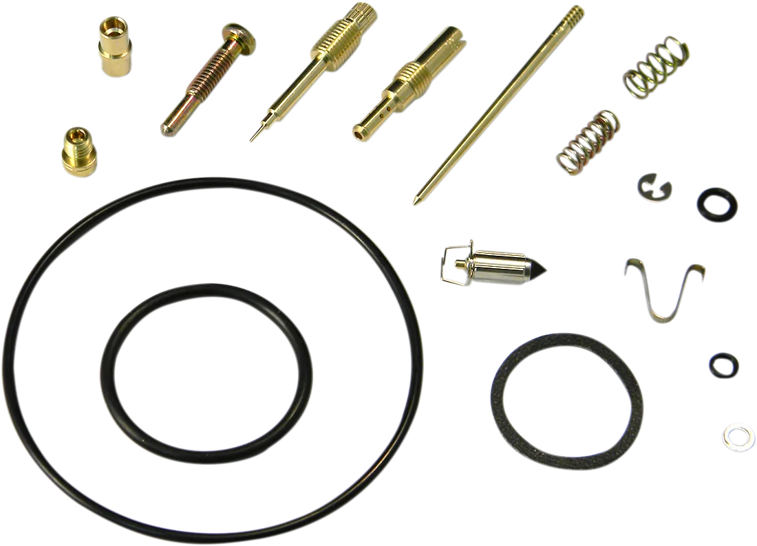 Carburetor Repair Kit