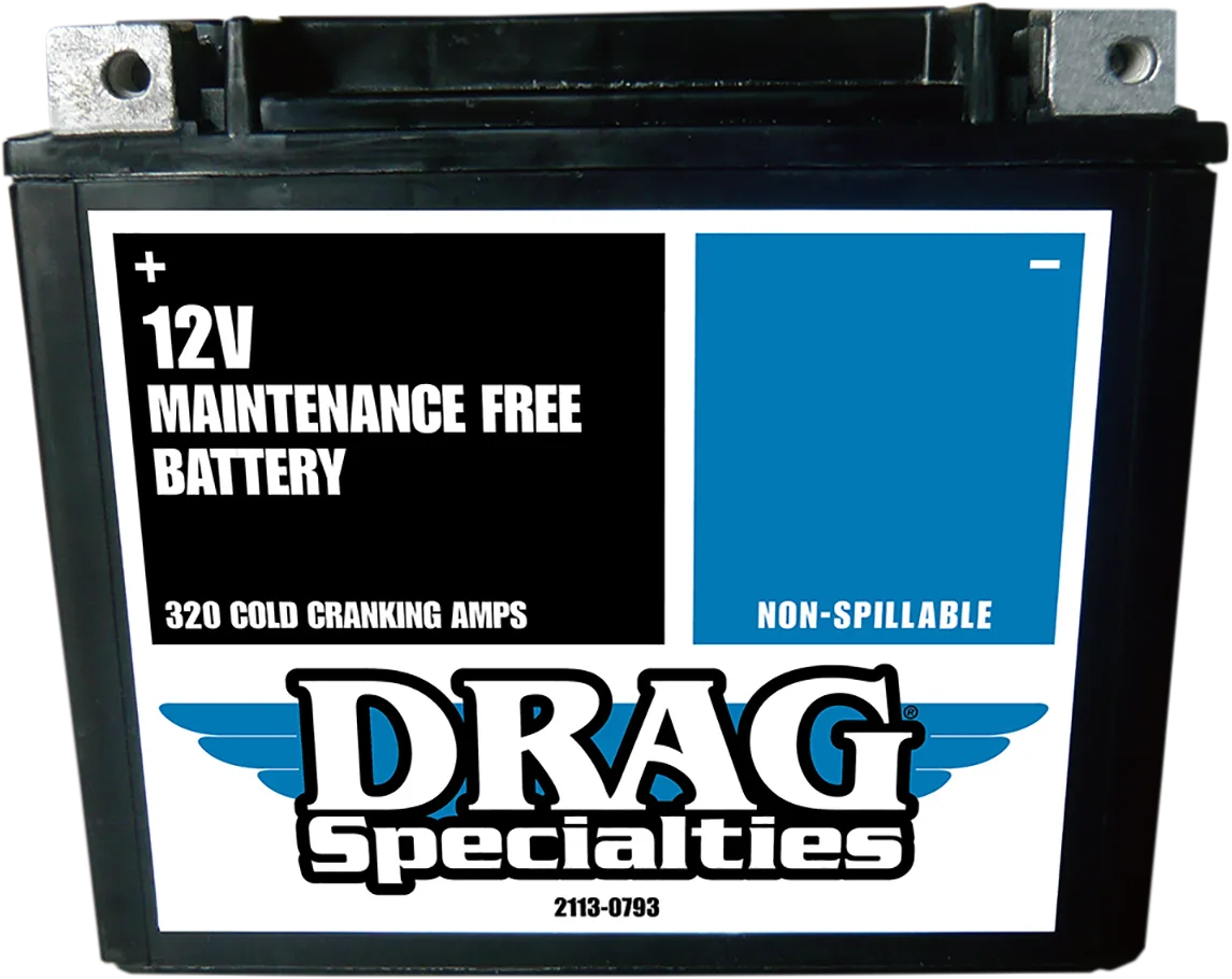 Factory-Activated High-Performance AGM Maintenance-Free Battery