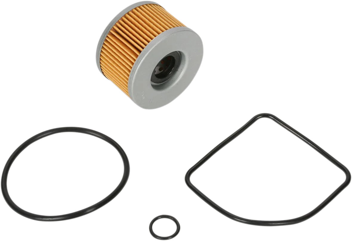 Oil Filter — Cartridge