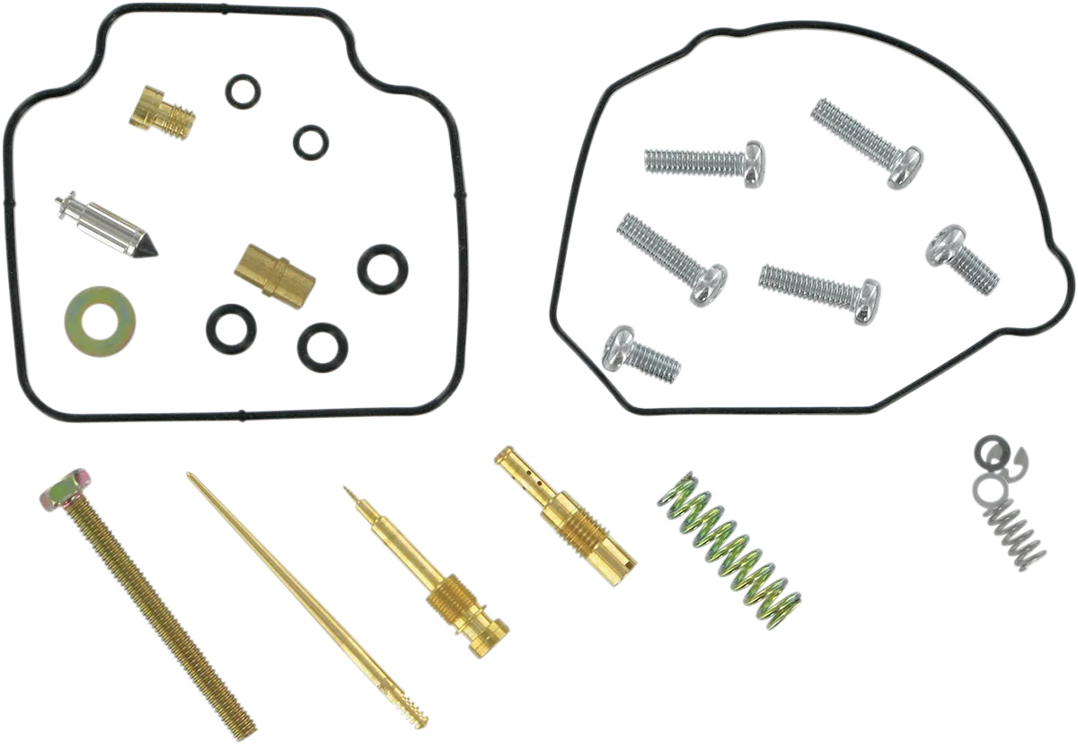 Carburetor Repair Kit