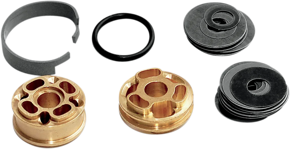 Gold Valve Fork Kit