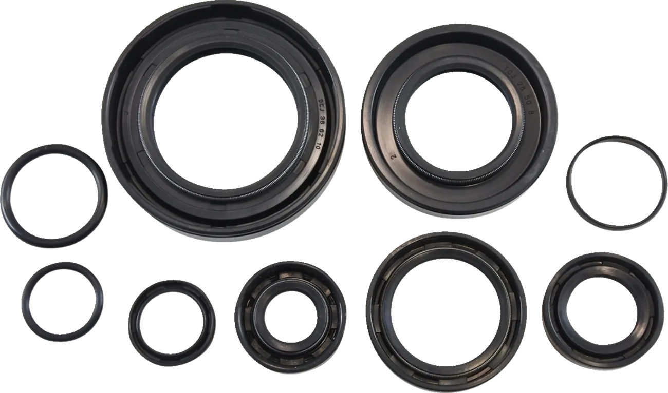 Oil Seal Kit