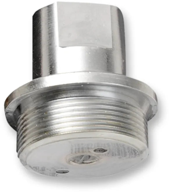 Upper Fork Tube Caps/Bolts — Standard